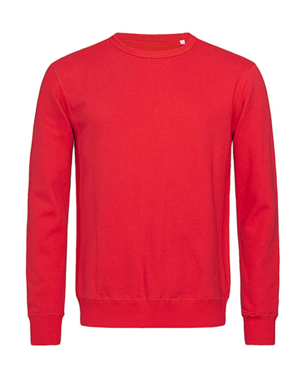 Sweatshirt Select - Image 5