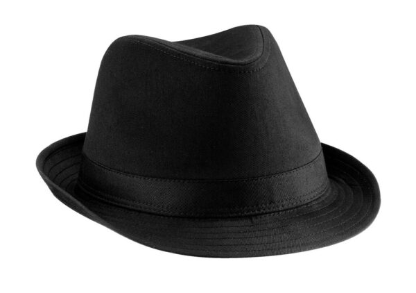 Fedora - Image 2