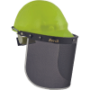 VISIGUARD visors mesh