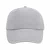 Low Profile Heavy Cotton Drill Cap