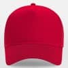 Snapback Trucker