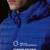Reset Puffer