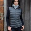 Ladies' Ice Bird Padded Gilet