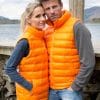 Ladies' Ice Bird Padded Gilet