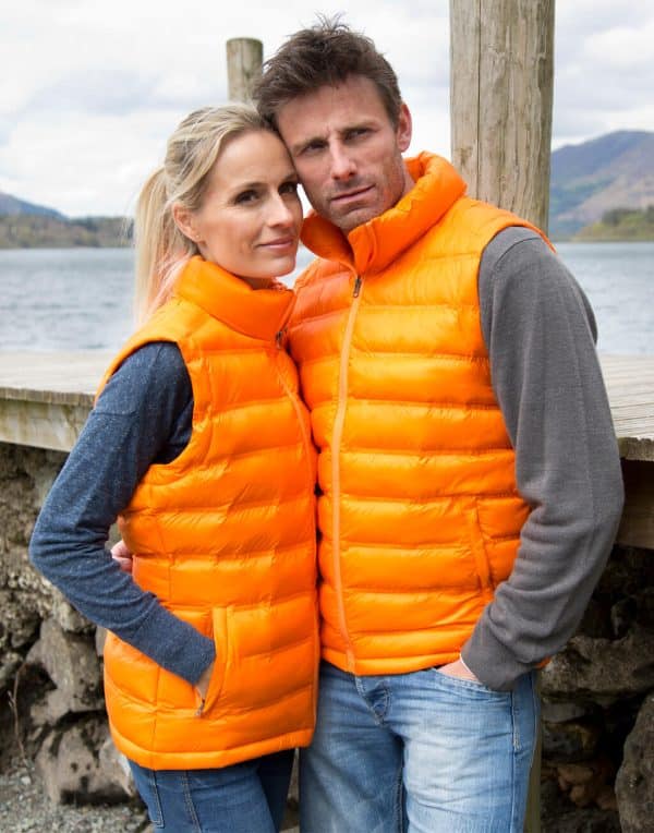 Ladies' Ice Bird Padded Gilet