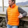 Ice Bird Padded Gilet