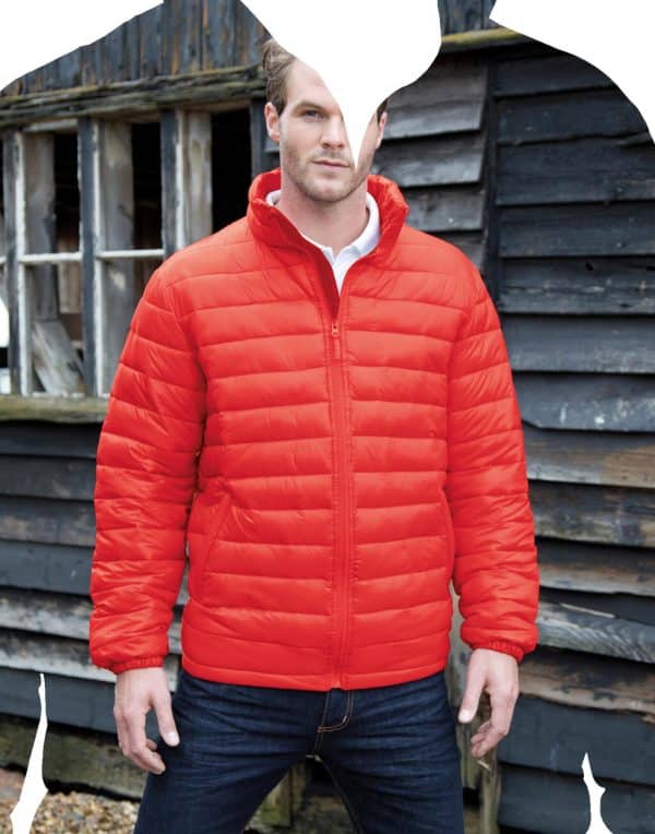 Ice Bird Padded Jacket