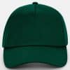 Authentic 5 Panel Cap