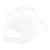 Ultimate 6 Panel Cap