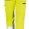 Safety Cargo Trouser