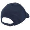 Recycled Pro-Style Cap