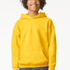 GIBSF500 SOFTSTYLE® MIDWEIGHT FLEECE YOUTH HOODIE