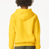 GIBSF500 SOFTSTYLE® MIDWEIGHT FLEECE YOUTH HOODIE