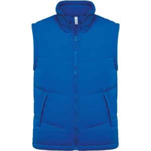 Light Royal Blue
