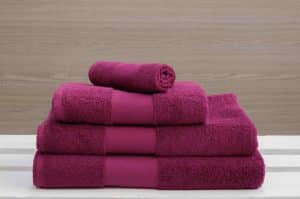 Festival Fuchsia