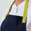 PR191 'COLOURS ' SWAP & POP APRON - STRAP