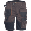 DAYBORO shorts