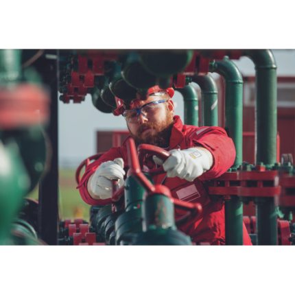 01020065 PALLIDA dreamstime xxl 198356462.tif