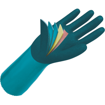 01100160 IMMER CERVA 2018 20145 back image.tif