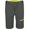 L-SURE ELIAS shorts olive