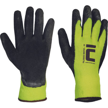 01060017 PALAWAN WINTER yellow CERVA 2017 02 201624 all 2019.tif